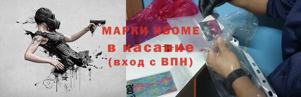 гашик Алексин