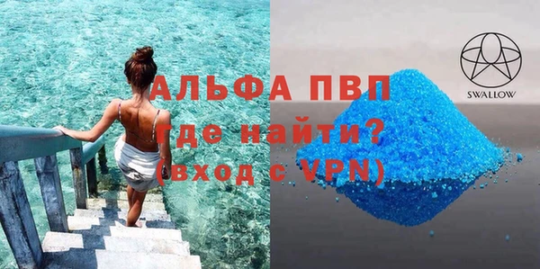 гашик Алексин