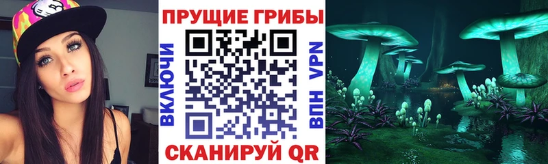 Галлюциногенные грибы Psilocybe  продажа наркотиков  Артёмовский 